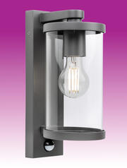 Harley ES/E27 Wall Light - Graphite - IP44 product image 2