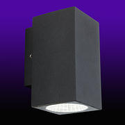 Dino LED Wall Lights - Graphite product image