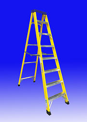 ToolShield Fibreglass Ladders product image 3
