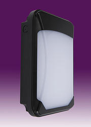 Siena Slim Range LED Wall Packs
Black product image