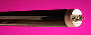 Blacklight Blue UV Fluorescent Tubes product image