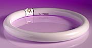 Circular Fluorescent Tubes - Warm White product image
