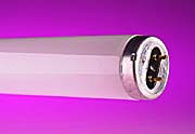 3ft To 8ft White Fluorescent Tubes  - T8 - T12 product image