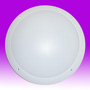 LED Wall / Ceiling Light product image