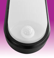 LT BO18BP product image 3