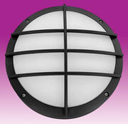 LT DCBGT product image 2