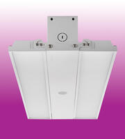 LT LBMW product image 4