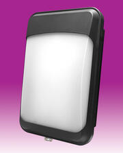 15W Slim CCT LED Wall Pack - IP65 - Black product image 2