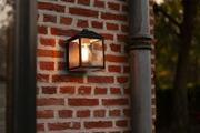 LU 5290603012 product image 2