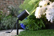 LU 6611107424 product image 5