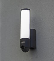 Elara - 18W CCT LED Wi-Fi Security Light c/w Camera's product image 2
