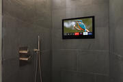 ProofVision - 19" Premium Bathroom Smart TV - Black & Mirror product image