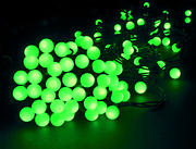 SK 5531 product image