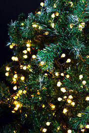 LED Berry Lights c/w Remote Control product image