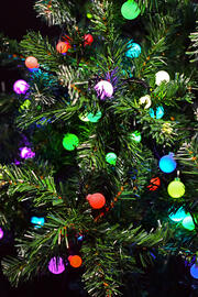 LED Berry Lights c/w Remote Control product image 3