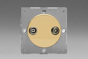 European 2 Gang Radio/TV VariGrid Termination Socket - Polished Brass product image