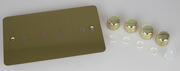 Varilight - Ultraflat Brushed Brass - Dimmer Plate Kits product image 6