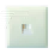 VL XOTSW product image