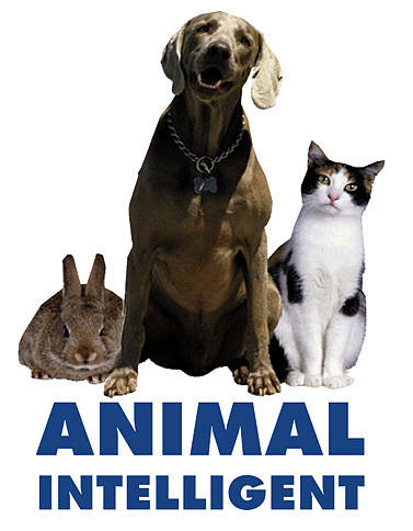 Animal Immune PIR Alarm Sensors