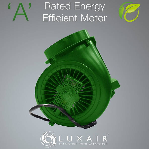 CH 52CAN/LUX/SS product image 6