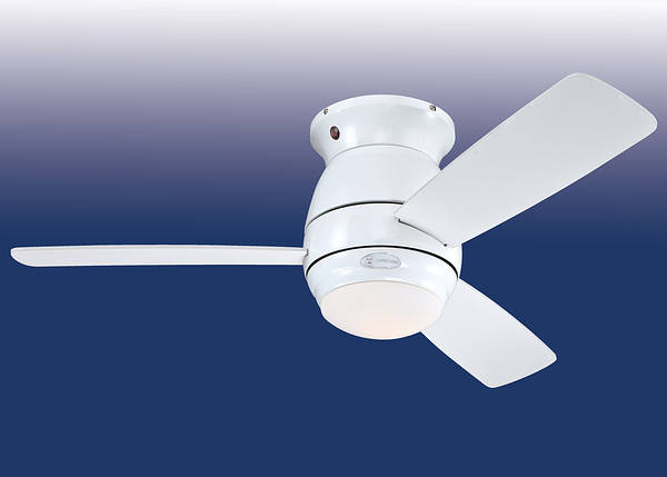 44 112 Cm Halley Hugger Ceiling Fan, Hugger Ceiling Fan With Light And Remote