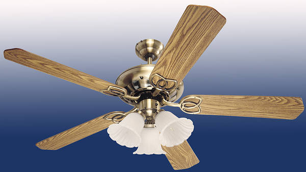 52" Bouquet Ceiling Fan - Antique Brass
