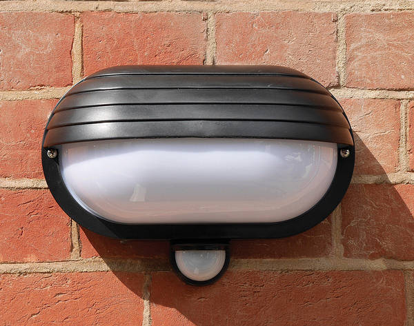 Eyelid pir bulkhead security light