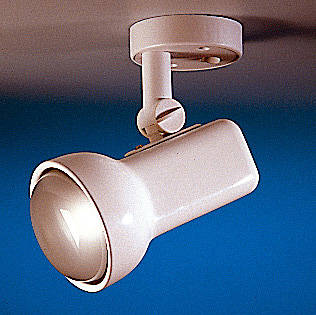 Single White Switched Spotlight R80 60w ES