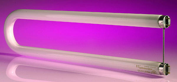 LA FL40U product image