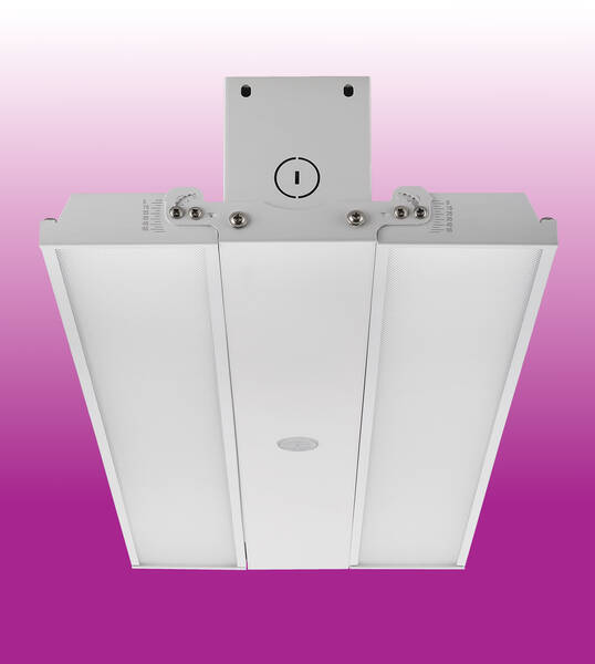 LT LBMW product image 4