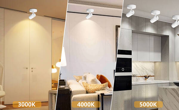 LT SS20CCTW product image 4