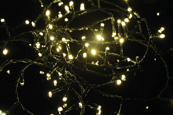 Festive lights shop