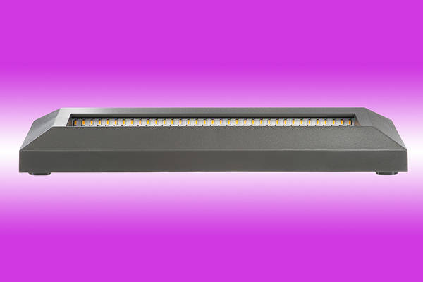 Timeguard sales step light