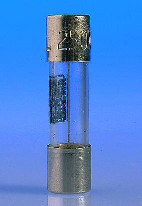 8 Amp 20mm Glass Fuse for Toroidal Transformers (Except T50/1)