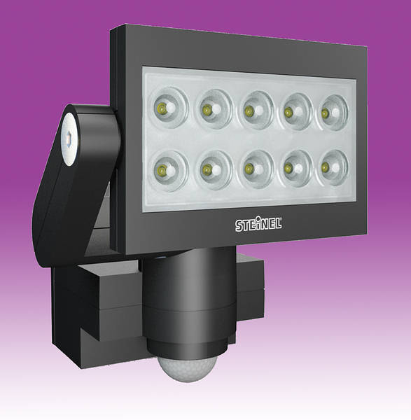 Security light with pir sensor