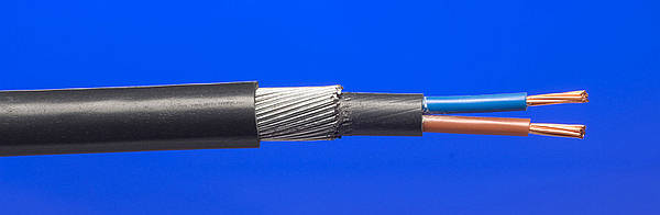 6mm 2 Core SWA Armoured Cable