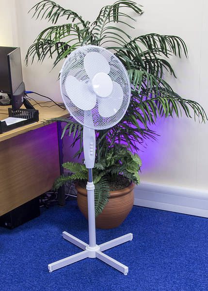 16 inch Pedestal Fan 3 Speed - White | Skytronic (EH1795)