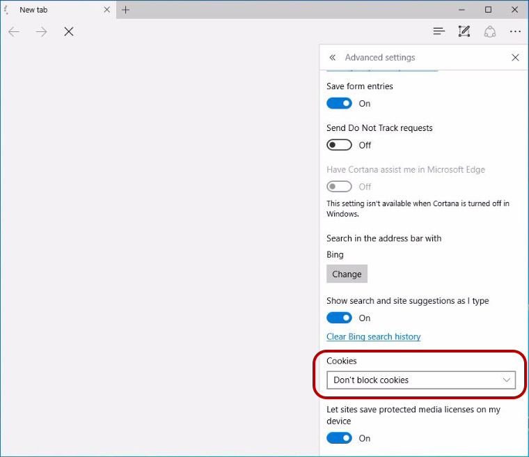 Microsoft Edge browser settings