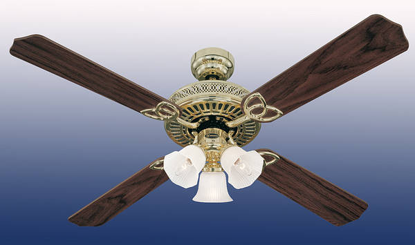 52 Inch Ceiling Fans