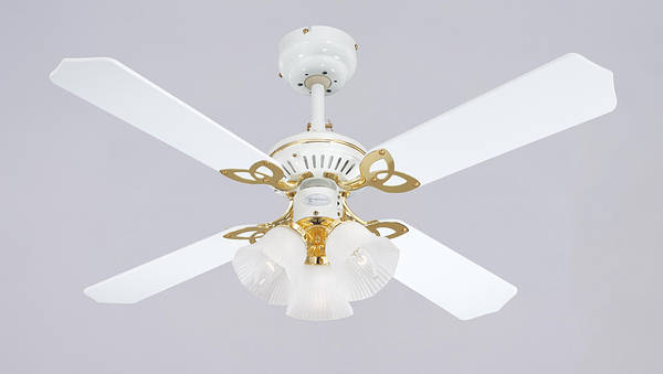 42 Inch Ceiling Fans