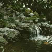 Natural Look pond with waterfall