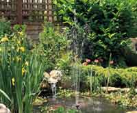 A simple ornamental pond with fountain